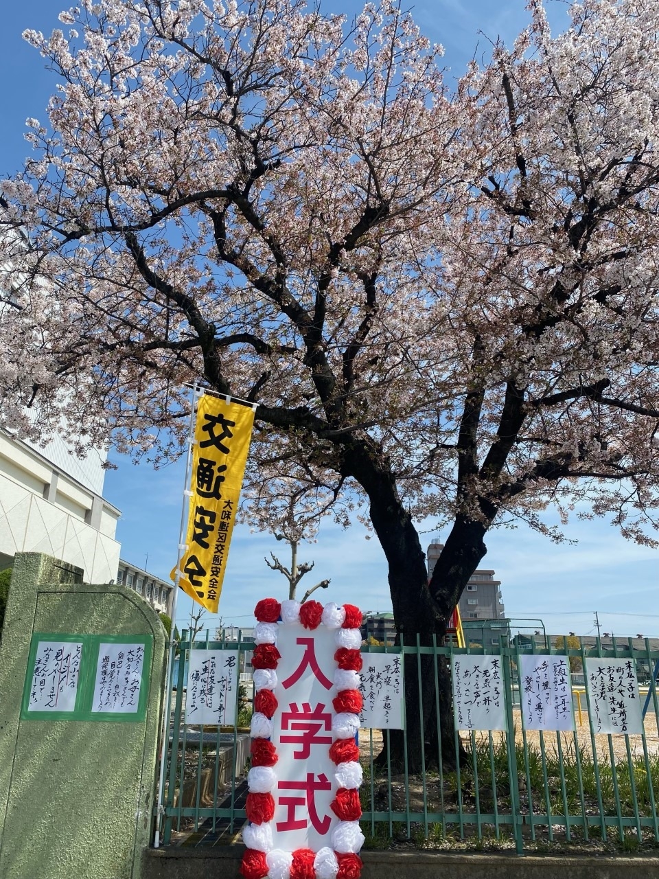 桜の季節がやってきました